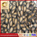 Export Quality Watermelon Seed From Factory